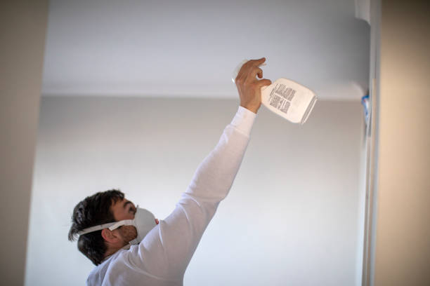 Crawl Space Mold Removal in Belding, MI