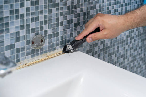 Best Affordable Mold Removal  in Belding, MI