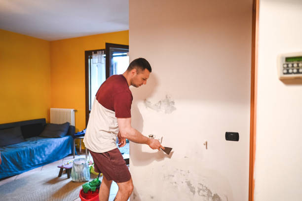 Best Residential Mold Removal  in Belding, MI